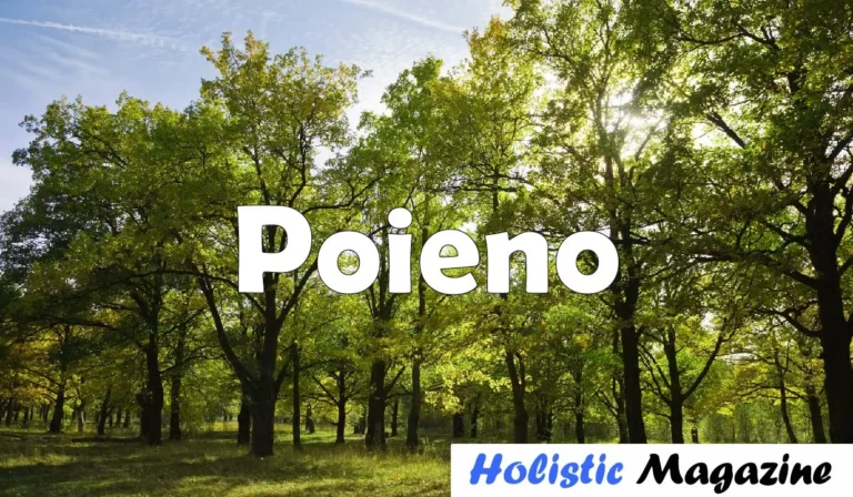 Poieno Dreams: Unraveling the Myth, Magic, and Mystery Behind a Word That Feels Like a World poieno