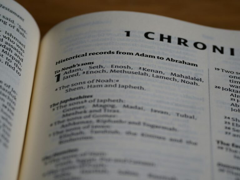 chevron doctrine for dummies