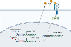 How fgz7.9d5a Work: A Complete Guide How fgz7.9d5a Work